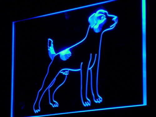 Jack Russell Terrier Pet Shop Neon Light Sign